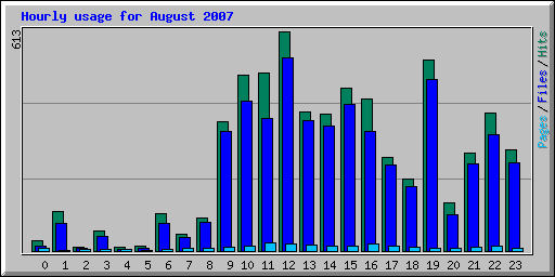 Hourly usage for August 2007